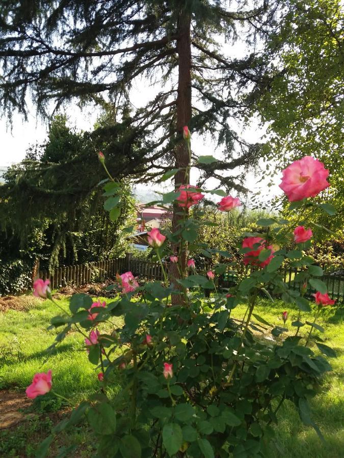 Albergue La Costana 오비에도 외부 사진